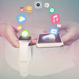 e招贷征信显示方式影响及查询方法解析
