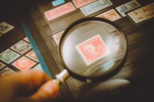 查银行征信怎么查询的详细步骤指南