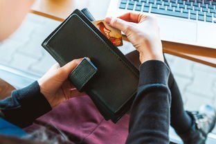 贷款平台老口子，整合10个不看负债不看征信可以下款的平台