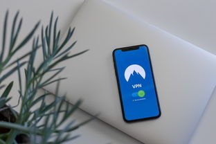 手机上可以贷款吗？3分钟搞懂手机网贷全流程