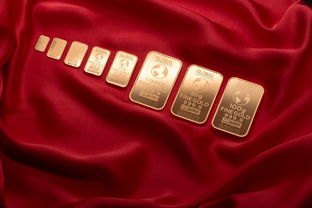 有哪些新口子贷款，国内十大高炮口子秒下款2025
