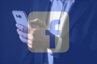 2025必下网贷，国内十大分乐购一样口子