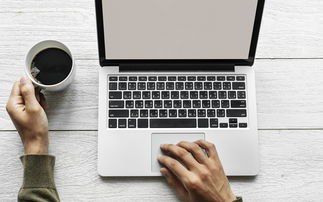 如何查询网贷是否上征信详细方法指南