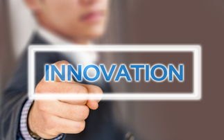 网版征信查询服务及信用报告指南