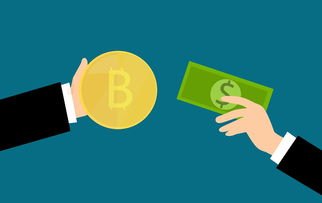 成都信用贷款全攻略：如何快速申请低息网贷？